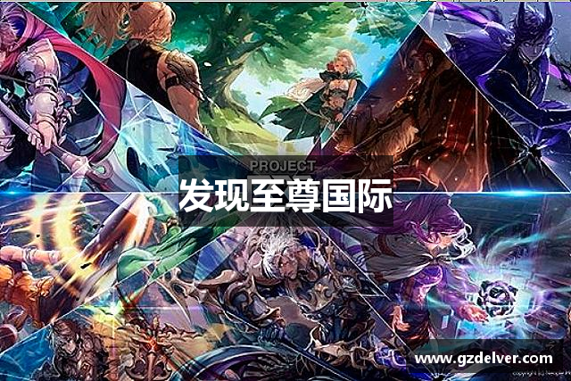 发现至尊国际
